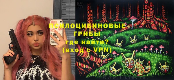 дживик Бронницы