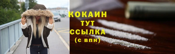 дживик Бронницы