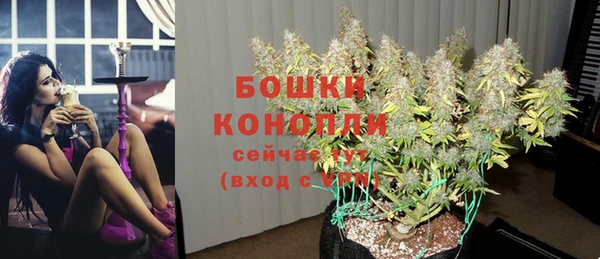 дживик Бронницы