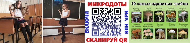 купить  сайты  Киселёвск  Галлюциногенные грибы мухоморы 